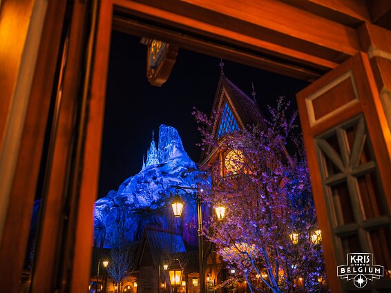 KVDS-20260314-211711-Hasselblad null