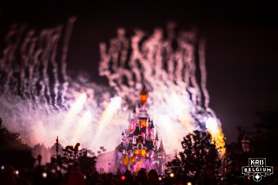 Disney Dreams! null