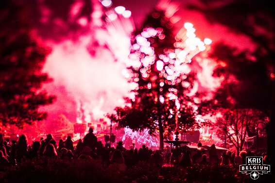 Disney Dreams! null