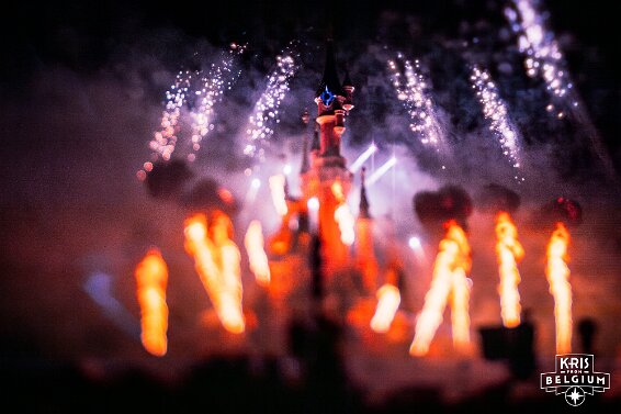 Disney Dreams! null