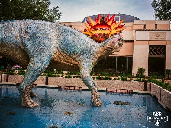 KVDS-20230119-154728-X2D 100C null