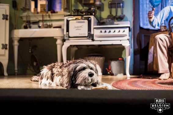 KVDS-20230123-210300-NIKON Z 9-3 null