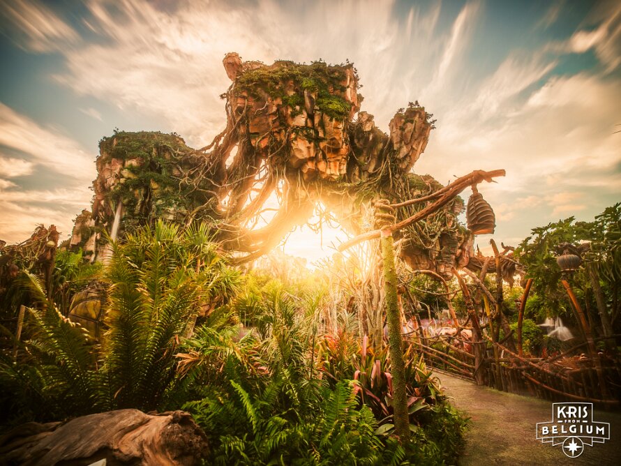 Disney's Animal Kingdom
