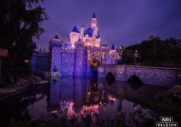 Disneyland Resort